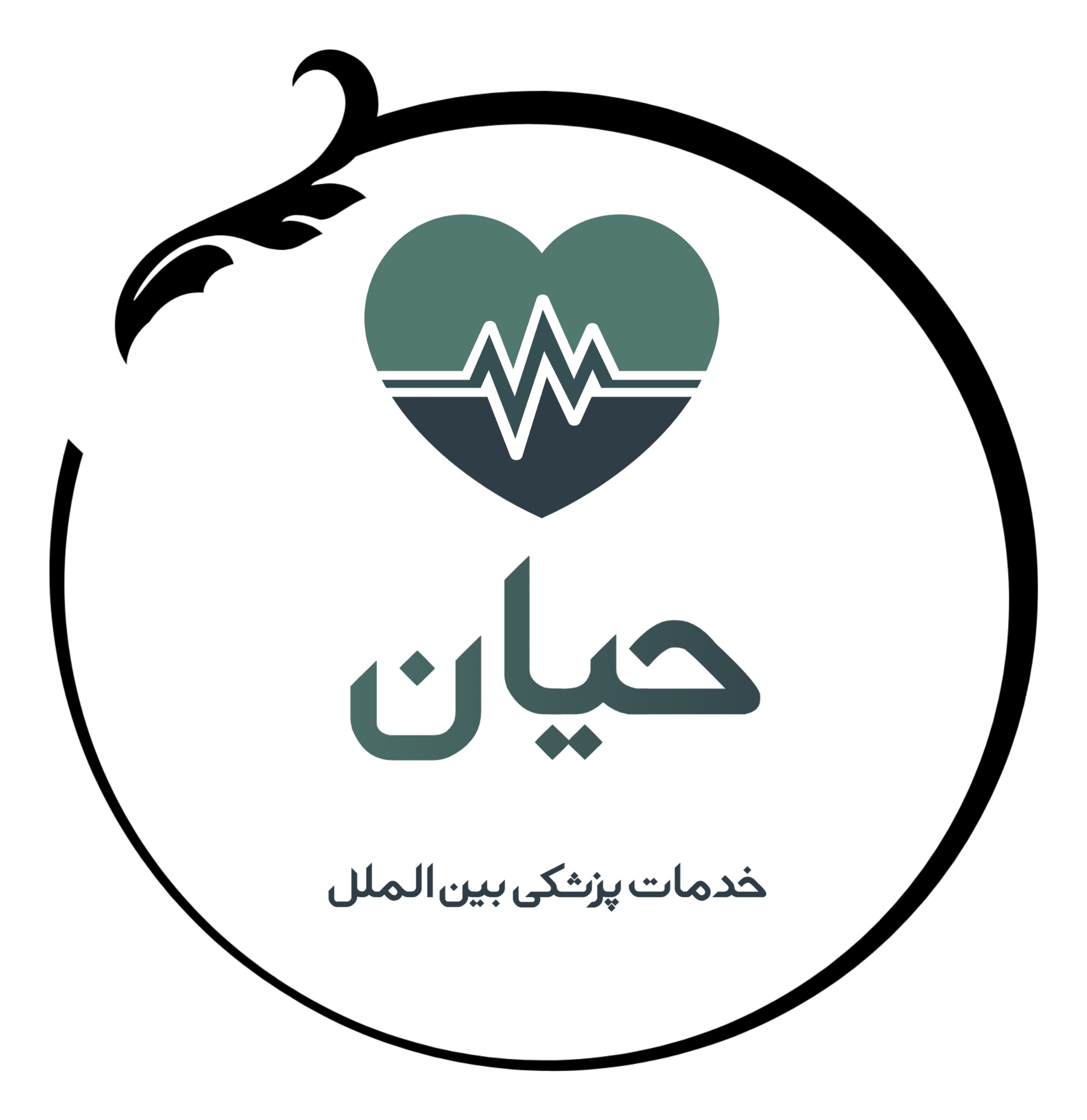 Hayyan Medical Team