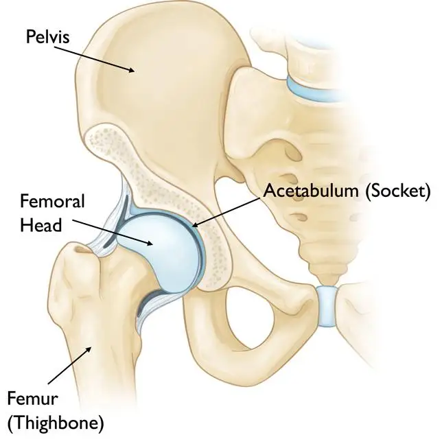 Recovery from Hip Replacement